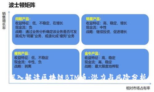 深入解读区块链BTM币:潜力与风险分析