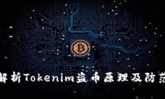 深入解析Tokenim盗币原理及防范措施