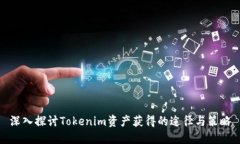 深入探讨Tokenim资产获得的途径与策略