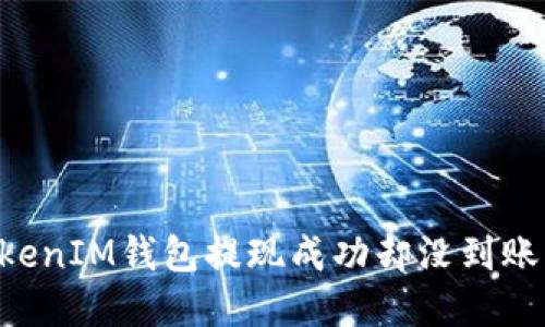 : TokenTokenIM钱包提现成功却没到账的解决方法