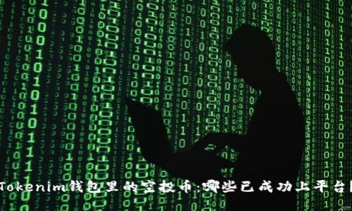 Tokenim钱包里的空投币:哪些已成功上平台?