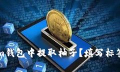 如何在Tokenim钱包中提取柚子?填写标签的重要性
