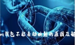 Tokenim钱包不能自动映射的原因及解决方案