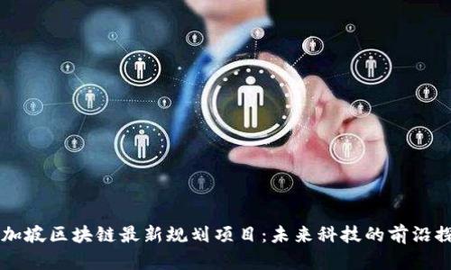 新加坡区块链最新规划项目:未来科技的前沿探索