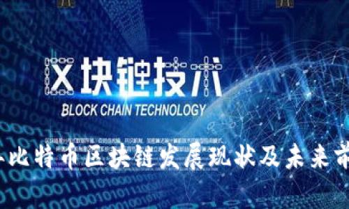 2023年比特币区块链发展现状及未来前景分析