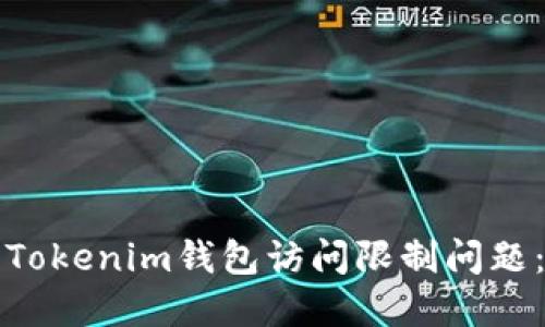 如何解决Tokenim钱包访问限制问题：全面指南