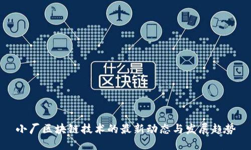 小厂区块链技术的最新动态与发展趋势