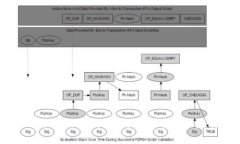 : 如何在Tokenim上查询不到公链币的原因及解决方