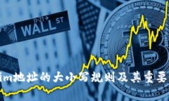 Tokenim地址的大小写规则及其重要性解析
