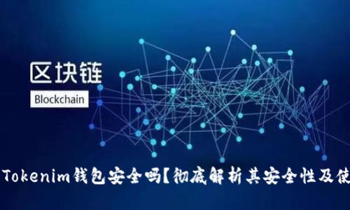 区块链Tokenim钱包安全吗？彻底解析其安全性及使用指南