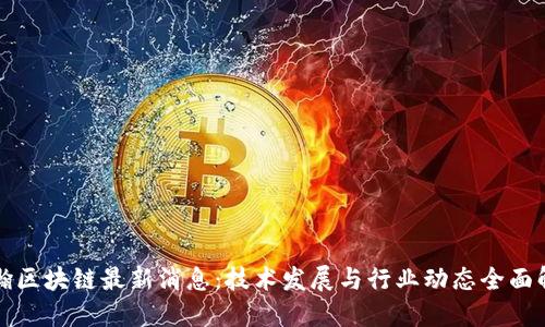 江瀚区块链最新消息:技术发展与行业动态全面解读