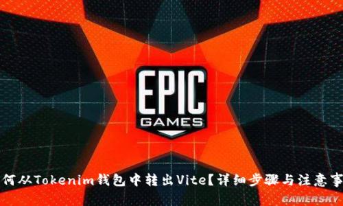 如何从Tokenim钱包中转出Vite？详细步骤与注意事项