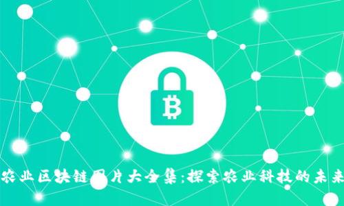 农业区块链图片大全集:探索农业科技的未来