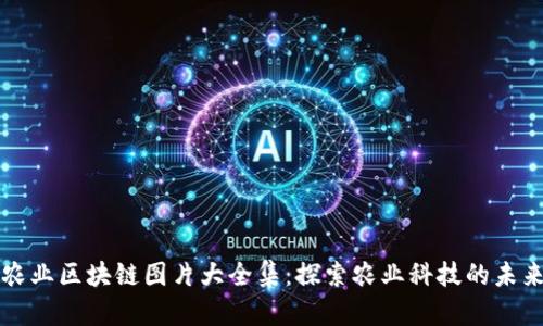 农业区块链图片大全集:探索农业科技的未来
