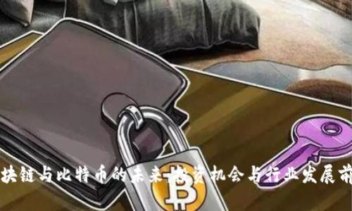 郑州区块链与比特币的未来:投资机会与行业发展前景解析