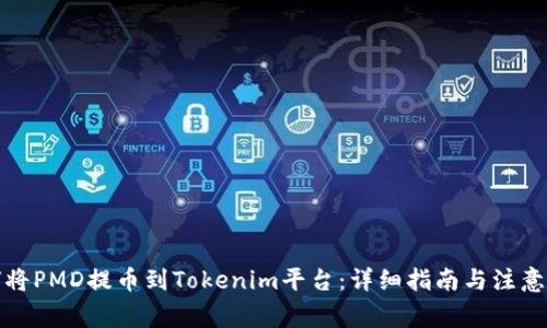 如何将PMD提币到Tokenim平台:详细指南与注意事项
