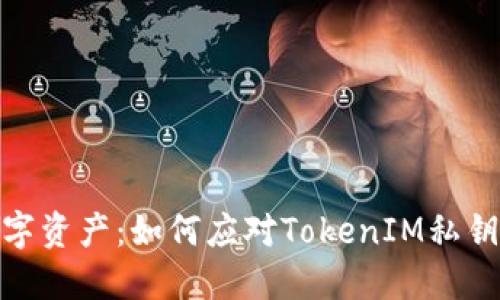保护你的数字资产：如何应对TokenIM私钥被盗的风险
