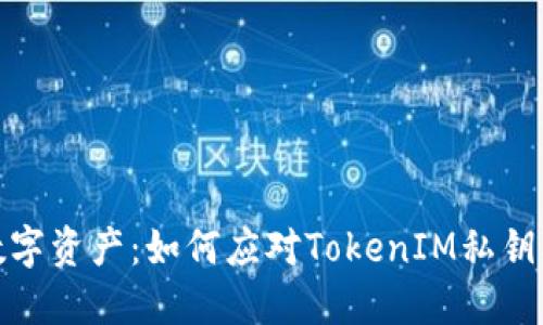 保护你的数字资产：如何应对TokenIM私钥被盗的风险
