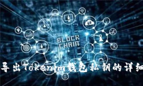 如何导出Tokenim钱包私钥的详细指南