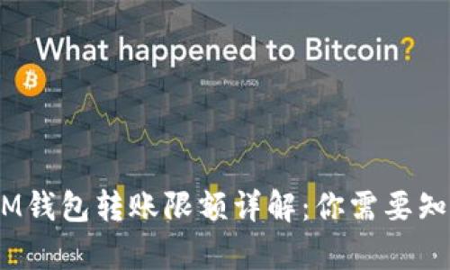 TokenTokenIM钱包转账限额详解:你需要知道的所有信息