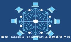 : 深度解析 Tokenim Candybar：未来数字资产的革命者