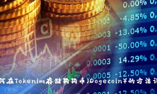 如何在Tokenim存储狗狗币(Dogecoin)的方法详解