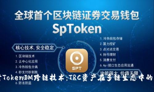 探讨TokenIM跨链技术:TRC资产在多链生态中的应用