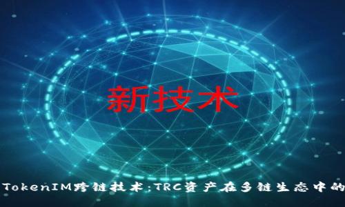 探讨TokenIM跨链技术:TRC资产在多链生态中的应用
