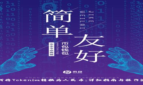 如何将Tokenim转换为人民币:详细指南与操作流程