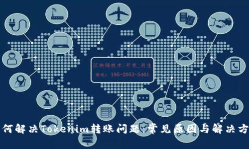 如何解决Tokenim转账问题:常见原因与解决方案