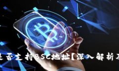u/u:TokenIM是否支持BSC地址？深入解析及使用指南