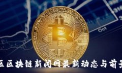 奉贤区区块链新闻网最新动态与前景分析