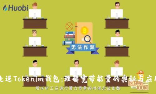 走进Tokenim钱包:理解宽带能量的奥秘与应用