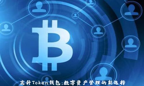 高升Token钱包:数字资产管理的新选择