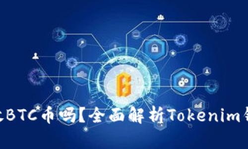 Tokenim钱包能存放BTC币吗?全面解析Tokenim钱包的功能与安全性