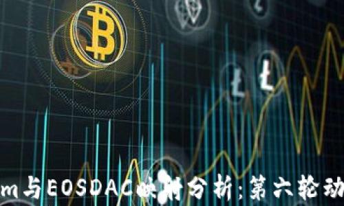 Tokenim与EOSDAC映射分析:第六轮动态解读
