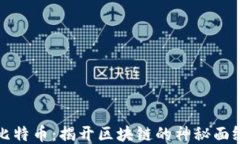 比特币：揭开区块链的神秘面纱