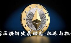 柬埔寨区块链发展动态:机遇与挑战详解