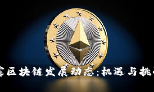 柬埔寨区块链发展动态:机遇与挑战详解