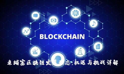柬埔寨区块链发展动态:机遇与挑战详解