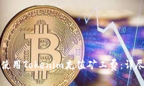 如何使用Tokenim充值矿工费:详尽指南