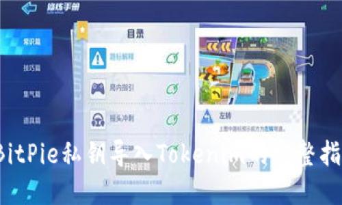 BitPie私钥导入Tokenim的完整指南