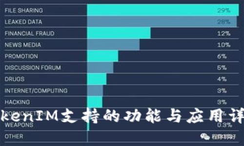 TokenIM支持的功能与应用详解