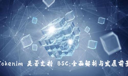 Tokenim 是否支持 BSC:全面解析与发展前景
