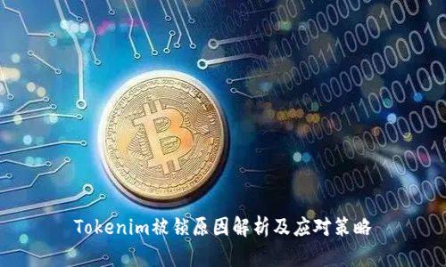 Tokenim被锁原因解析及应对策略
