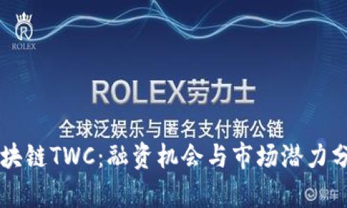 区块链TWC:融资机会与市场潜力分析