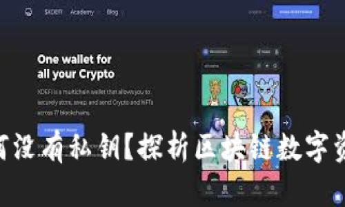 Tokenim中的币为何没有私钥?探析区块链数字资产的安全性与管理