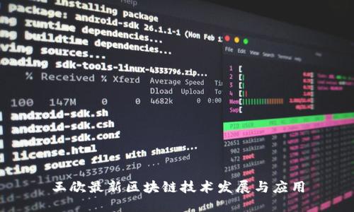 王欣最新区块链技术发展与应用