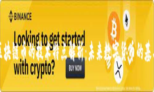 区块链币的技术特点解析:未来数字货币的基石