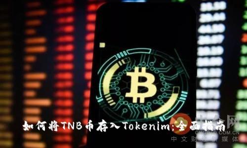 如何将TNB币存入Tokenim:全面指南